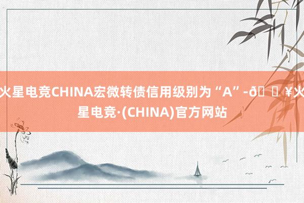 火星电竞CHINA宏微转债信用级别为“A”-🔥火星电竞·(CHINA)官方网站